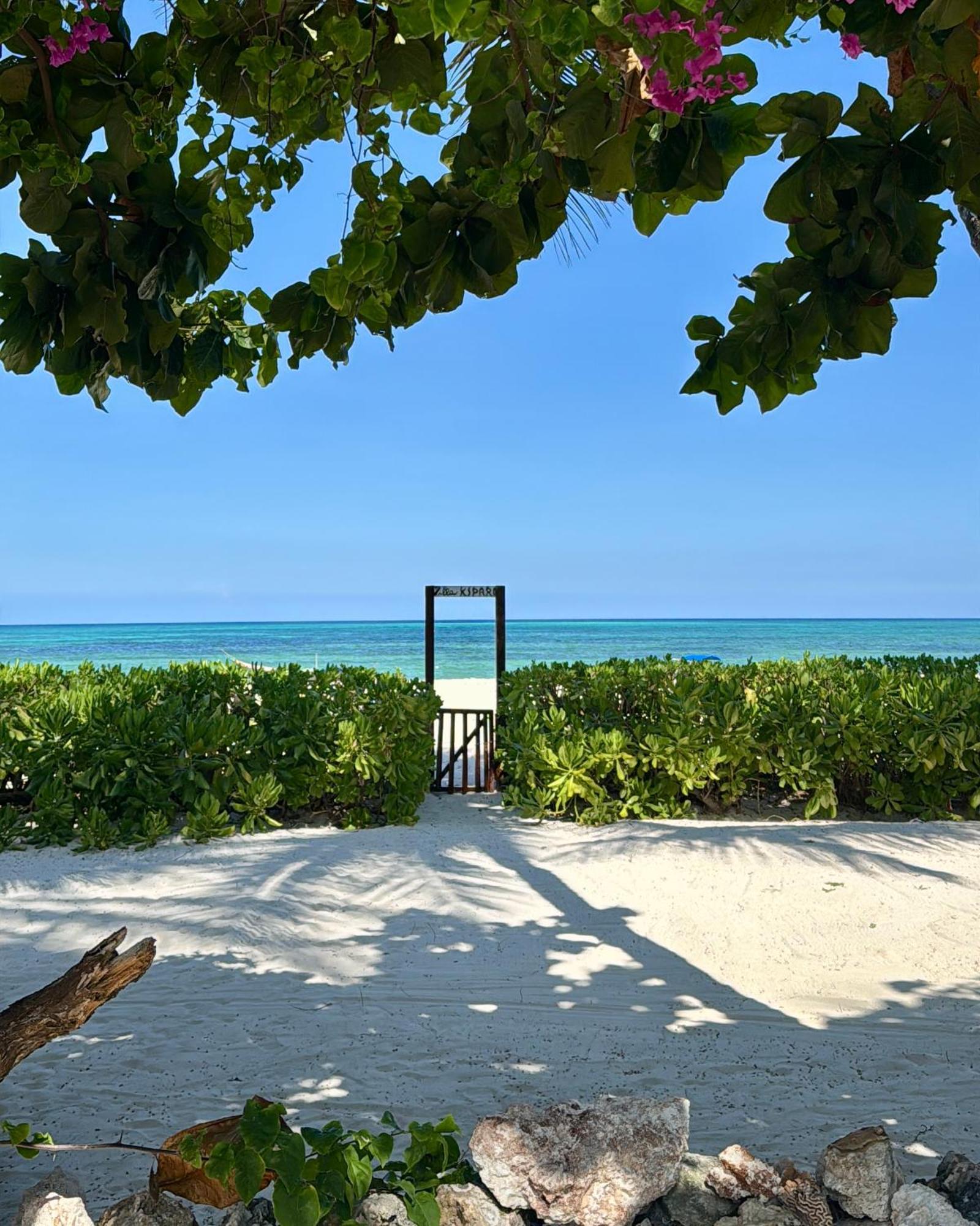 Villa Kipara - Private Beach & Pool Pwani Mchangani Exterior photo